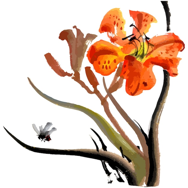Vector vector waterverf illustratie van tijgerlelie bloem gohua traditionele chinese inkt en wassen schilderij