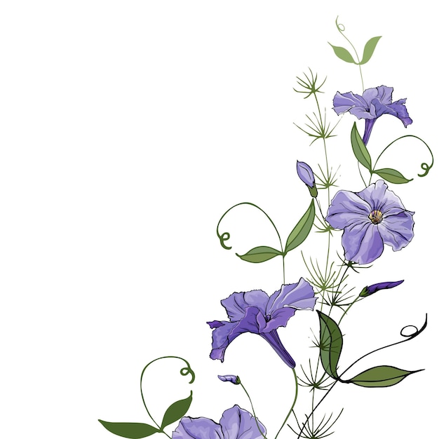 Vector vector wenskaart met paarse bloemen petunia op witte achtergrond kopie ruimte