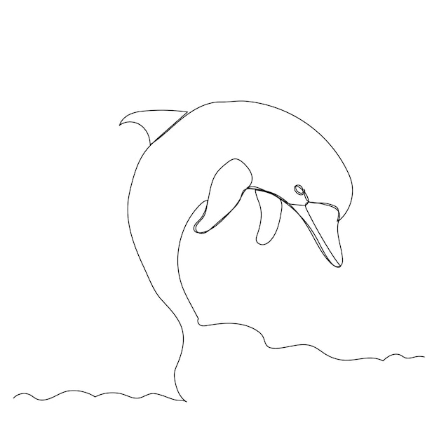 Vector vector on white background dolphin continuous line drawing