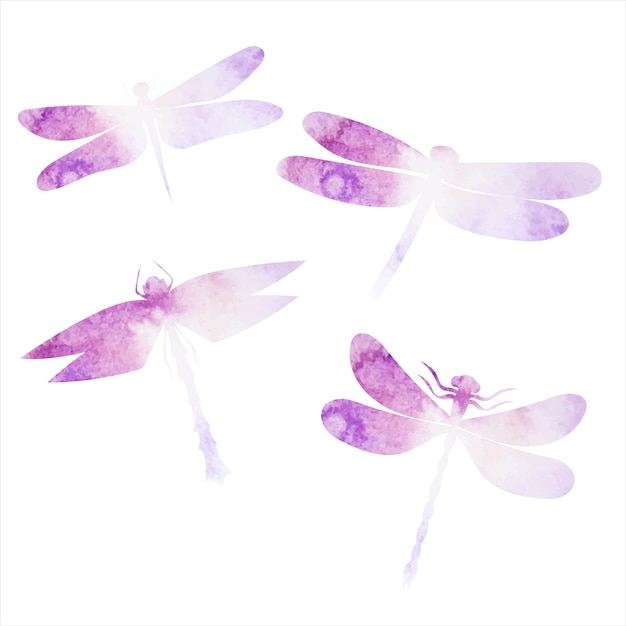 Vector white background purple watercolor dragonfly silhouette fly