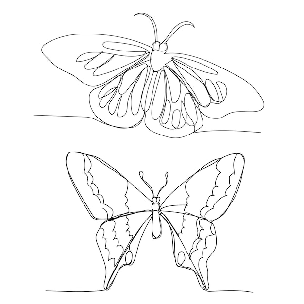 Vector vector on a white background single continuous line drawing butterfly