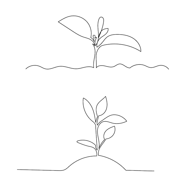 Vector on a white background single line drawing of a sprout