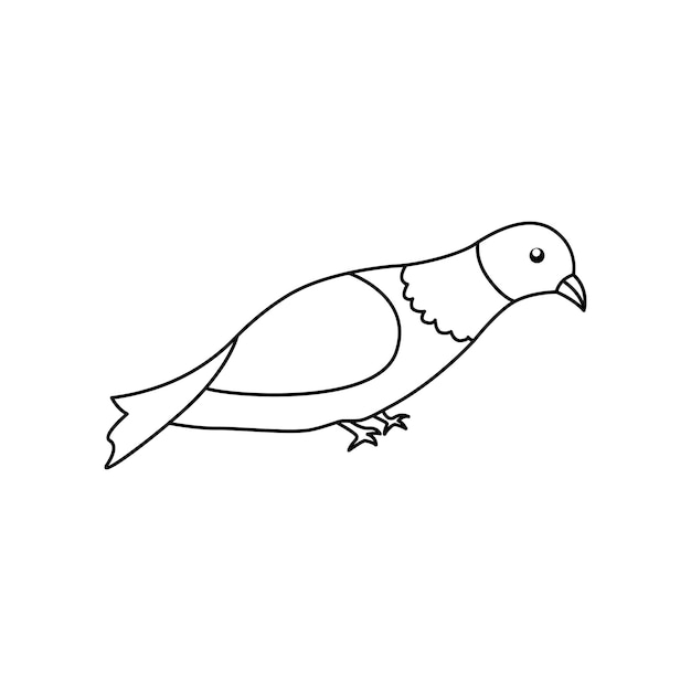 Vector on a white background a single pigeon line drawing of a bird dove art