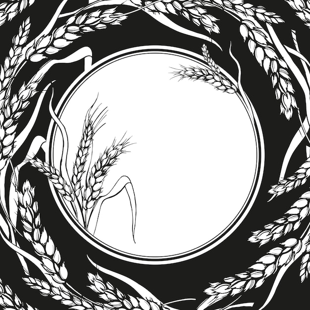 Vector vector white frame with ears of wheat hand drawn illustration of branches of wheat agriculture theme black and white sketch of harvest theme on black background
