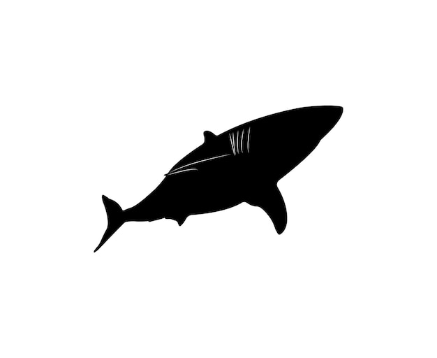 Vector white shark silhouette isolated on white background