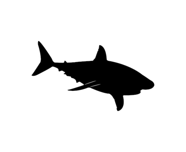 Vector white shark silhouette isolated on white background