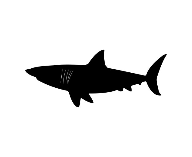 Vector vector white shark silhouette isolated on white background