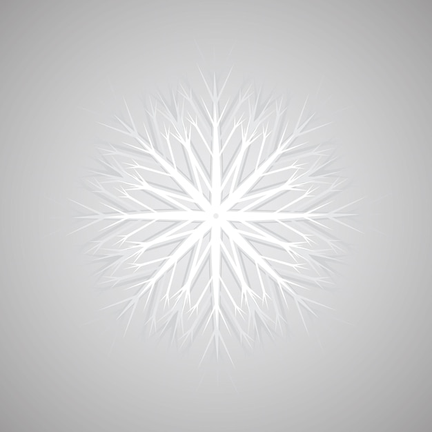 Vector vector, white snowflake on gray background