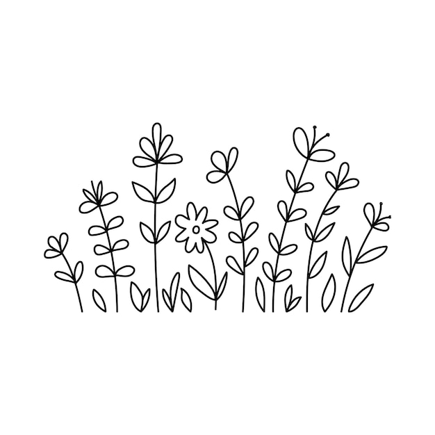 Vector vector wild herbs and flowers doodle illustration field with grass and wildflowers isolated on white