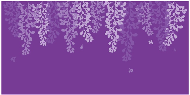 vector wisteria violet white and pink flower