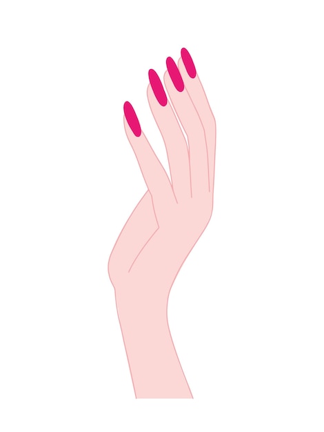Vector woman hand with pink manicure flat illusstration Beautiful woman hand with pink nails illustration