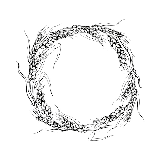 vector wreath ears of wheat hand drawn illustration with branches of wheat agriculture theme sketch