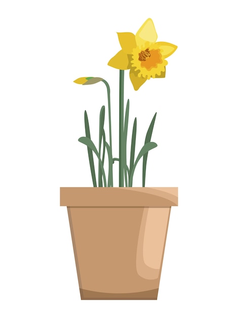 Vector yellow daffodil in ceramic flower pot, isolated on white background