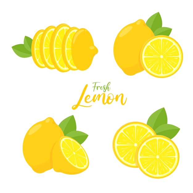 Vector yellow lemon fruit with sour taste for cooking and squeezing to make healthy lemonade