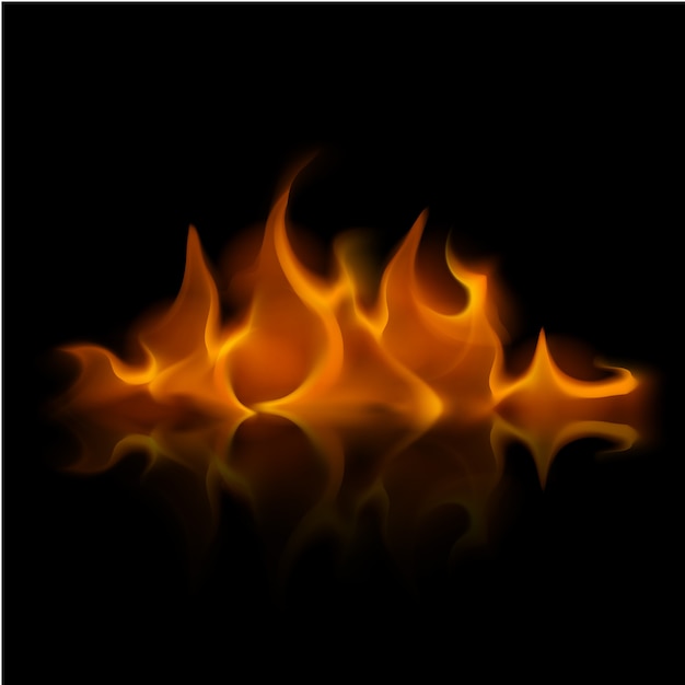 Vector yellow orange fire flame bonfire