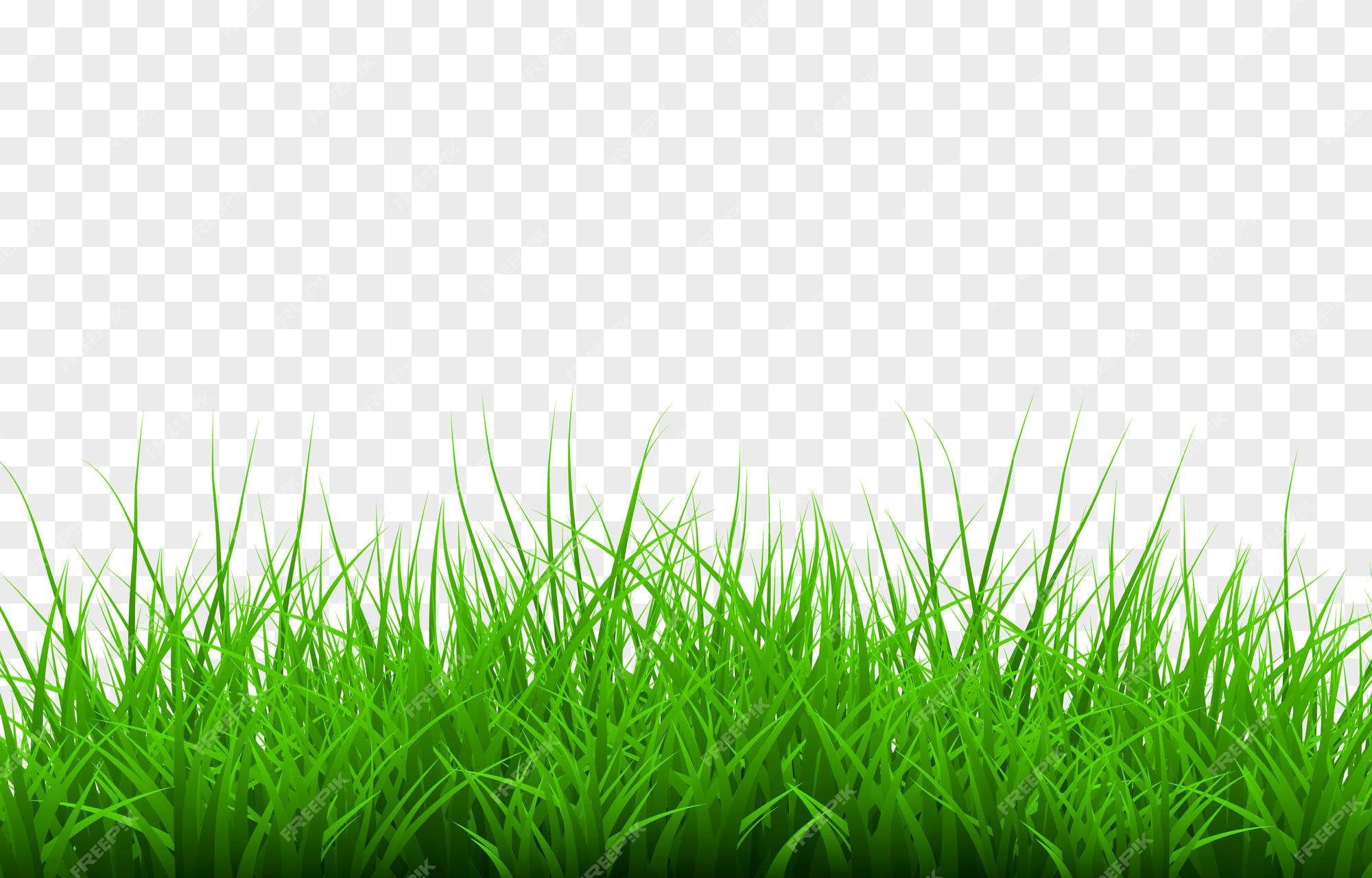 Page 5 | Grass isolated Images | Free Vectors, Stock Photos & PSD