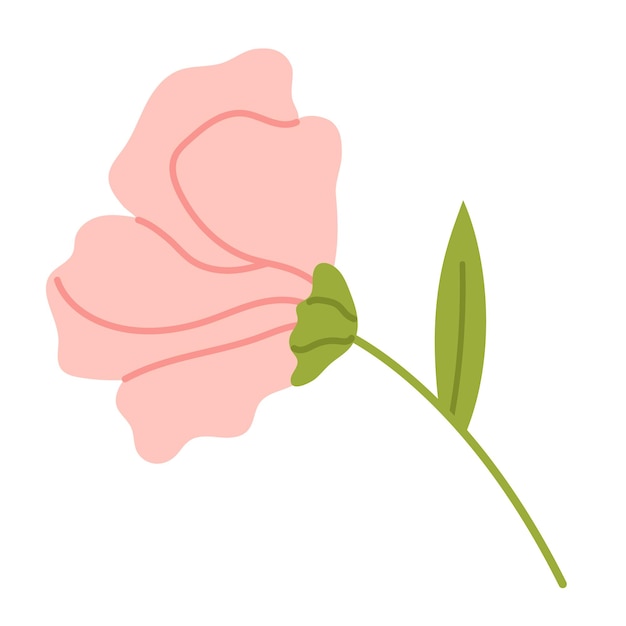 Vector zachte bloem met meeldraden elegantie roze pioenroos in plat ontwerp delicate bloesem bloem in zacht roze kleur