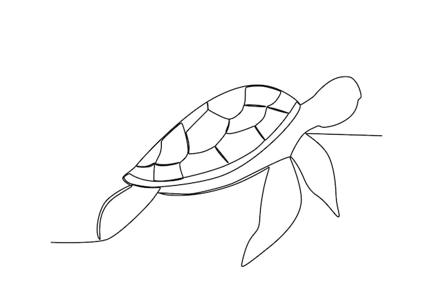 Vector vector zee schildpad fauna esthetische online continue enkele lijn kunst