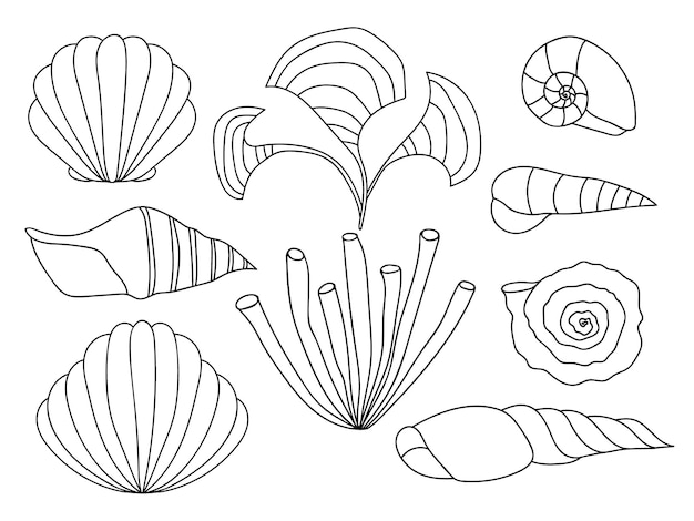 Vector zeeschelp set Verschillende soorten doodle handgetekende schelpen Zeeschelp geïsoleerd