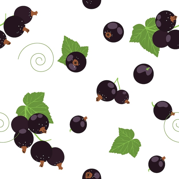Vector zwarte huidige naadloze patroon Hand getekende illustratie van zomerfruit