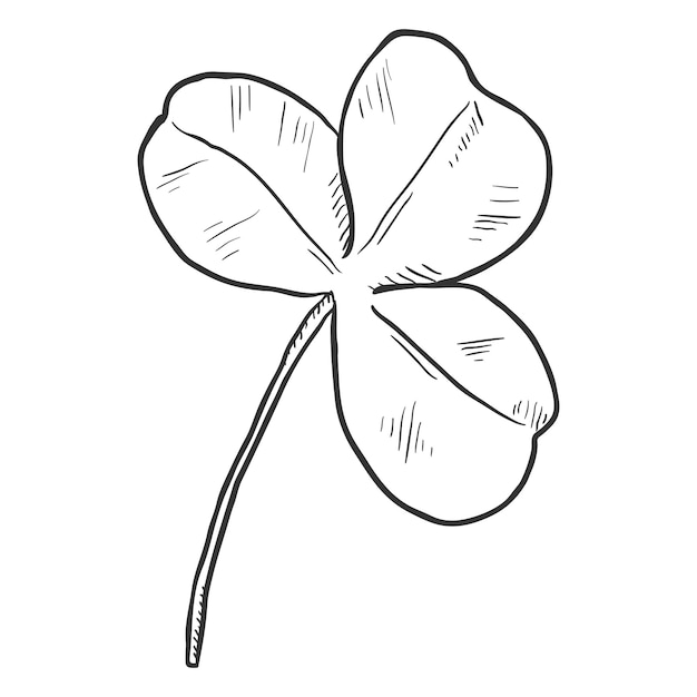 Vector zwarte schets illustratie three leaf clover