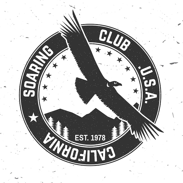 Vector zweefvliegen club retro badge
