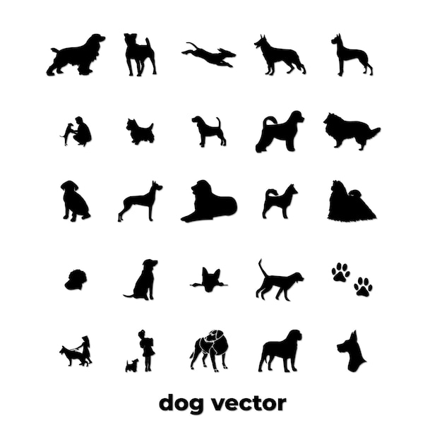 vector