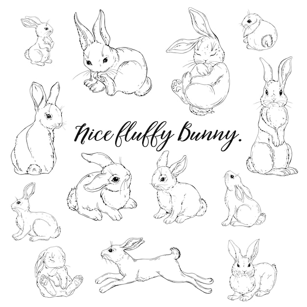 Vectorafbeelding van een schattige zachte bunny