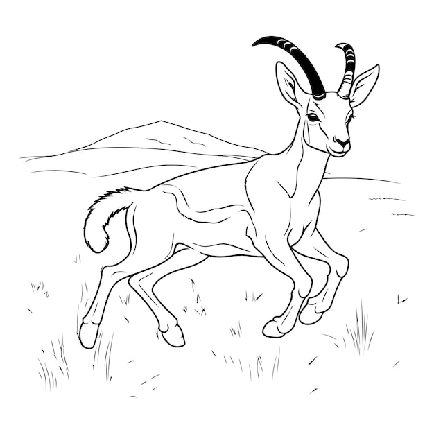 Vector vectorbeeld van een geit op een witte achtergrond monochrome afbeelding