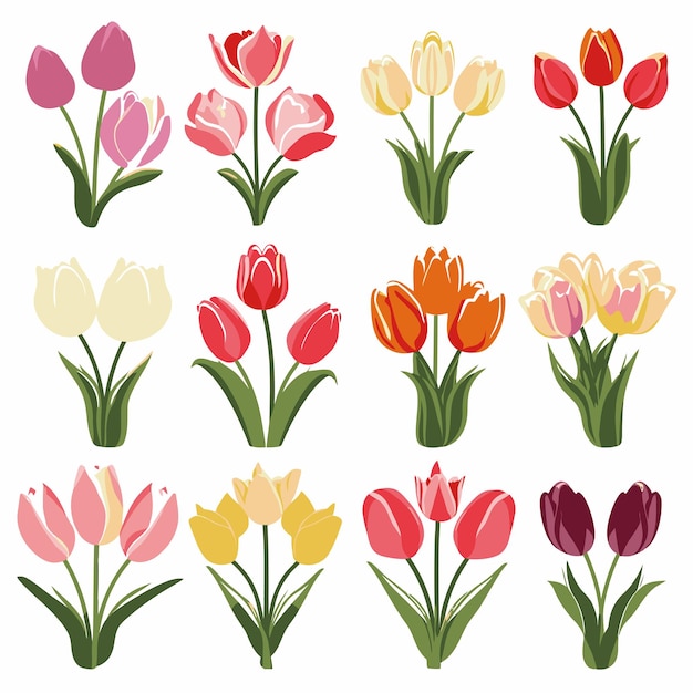 Vectorcollectie set van tulpenbloem