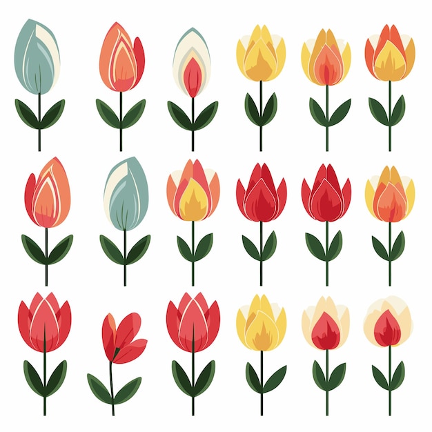 Vector vectorcollectie set van tulpenbloem