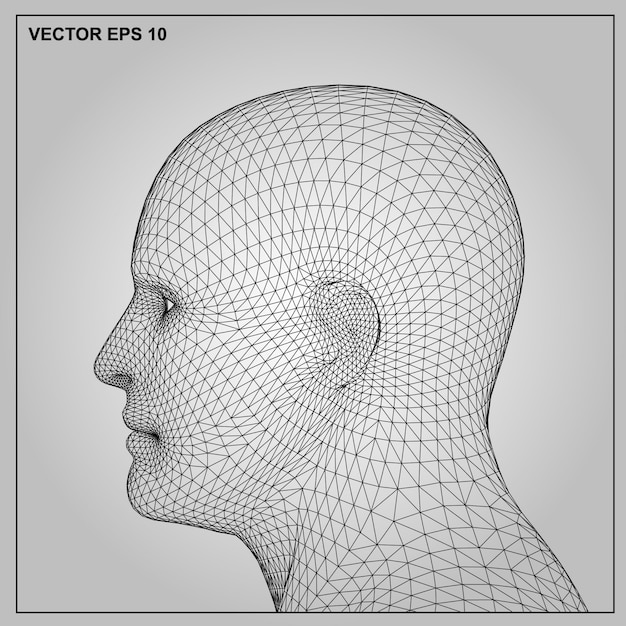 Vectorconcept of conceptueel 3d wireframe menselijk mannetje