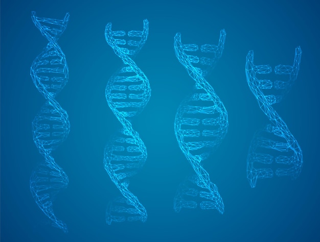 Vectordeel van het menselijke dna 3d driehoekige abstracte stijl