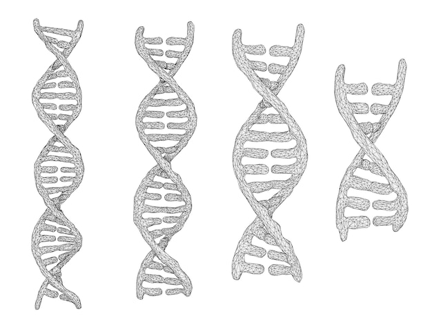 Vectordeel van het menselijke dna 3d driehoekige abstracte stijl