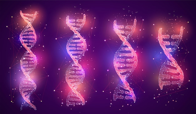 Vectordeel van het menselijke dna 3d driehoekige abstracte stijl