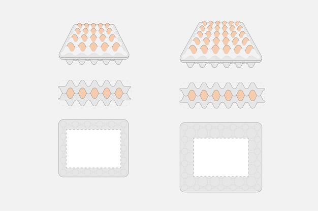 Vectordozen met kippeneierenkarton of plastic container