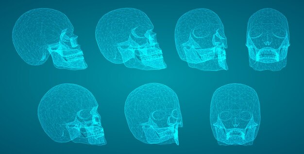 Векторный набор человеческих черепов с квадратными и треугольными многоугольниками.