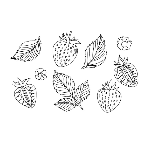 vectorillustratie aardbei bes eten fruit rood zoet vers sappig biologisch gezond