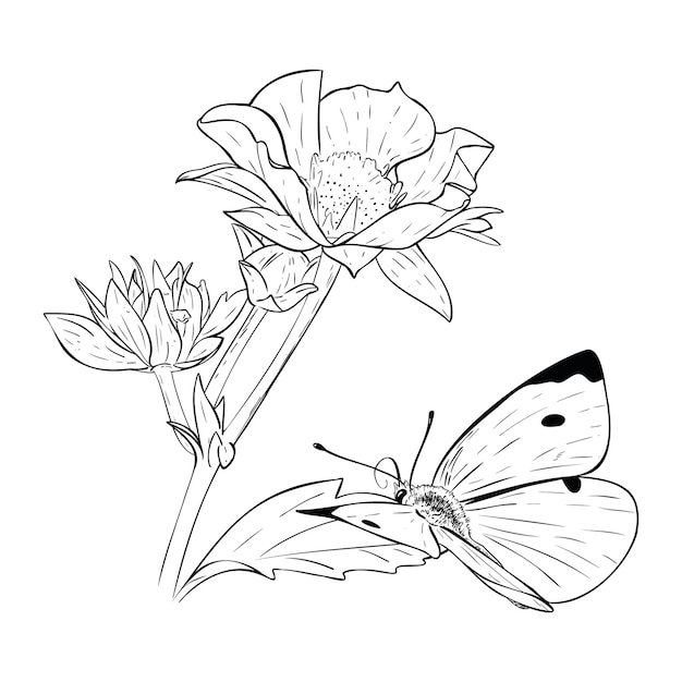 Vectorillustratie aardbeienstruik bloemen en bladeren vlinderlijn tekening getekend met de hand schets