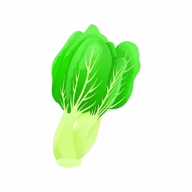 Vectorillustratie China Sla Kleurrijke Stijl