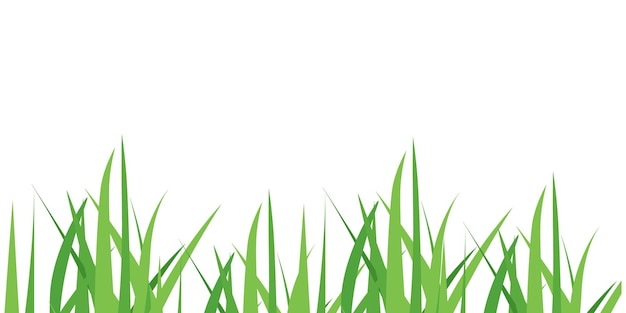 Vector vectorillustratie groen gras geïsoleerd op witte achtergrond lente vers gras grass border