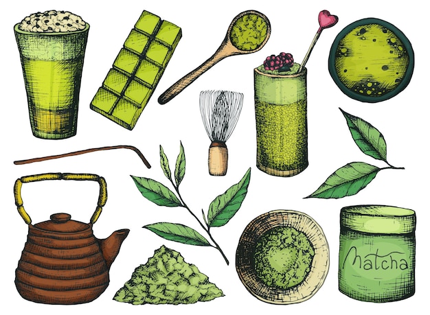 Vectorillustratie isoleren op een witte achtergrond instellen voor matcha thee in een tekenstijl uit de vrije hand mokken met theeblaadjes en poeder theepot en glazen met een drankje in kleur