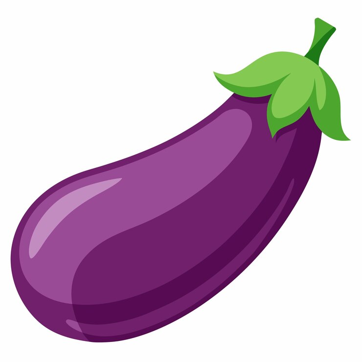 Vector vectorillustratie van aubergine geïsoleerd op witte achtergrond