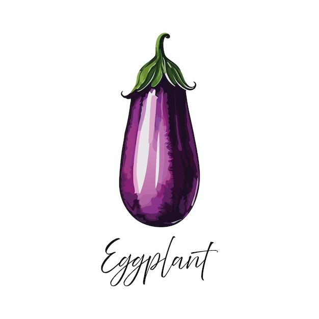 Vectorillustratie van aubergines