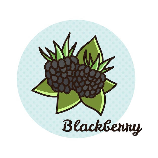 Vectorillustratie van blackberry.