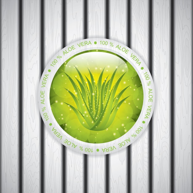Vectorillustratie van de Aloe Vera-sticker
