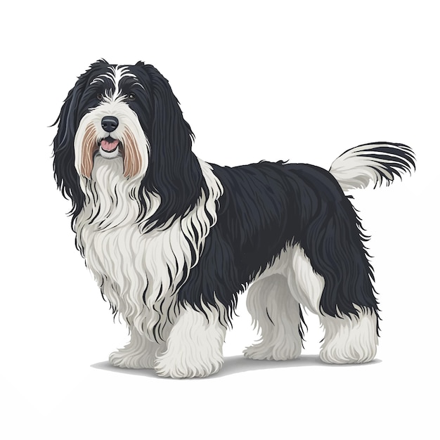 Vector vectorillustratie van de baarde collie