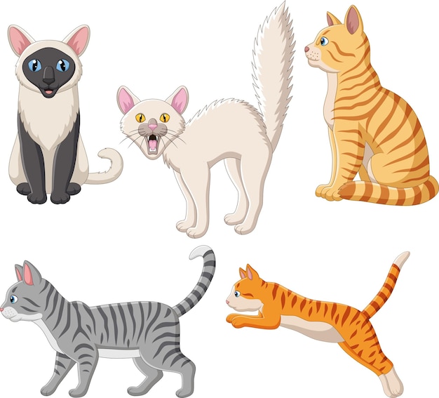 Vectorillustratie van de collectie van tekenfilms van katten