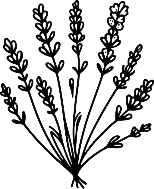 Vector vectorillustratie van de contouren van zwarte lavendel