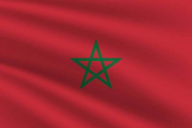 Vectorillustratie van de nationale vlag van Marokko